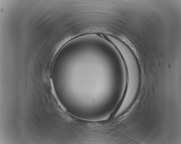 X0000084031089200703022116