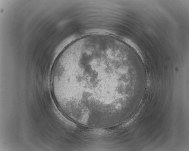 X0000084031090200703022116