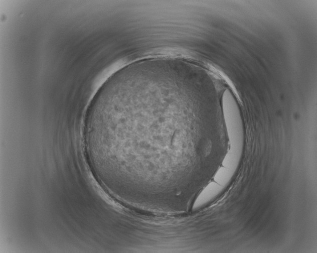 X0000084031091200703022116