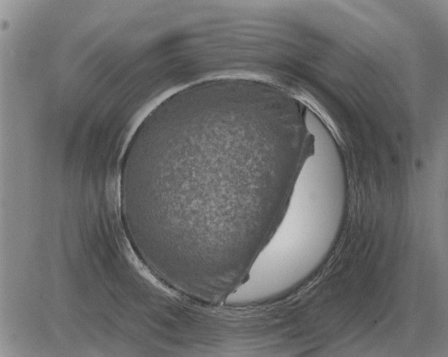 X0000084031092200703022116