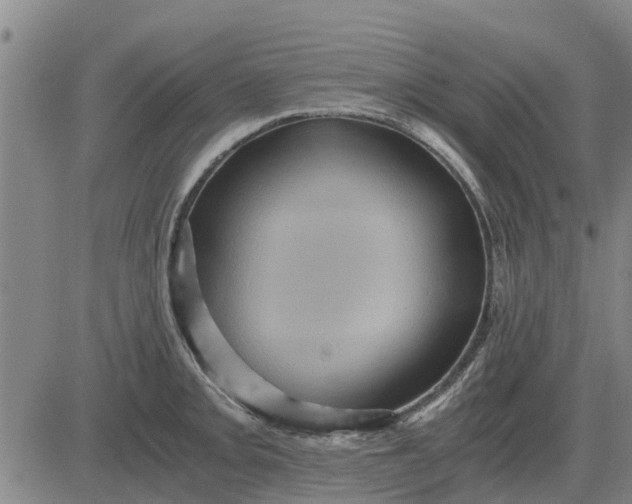 X0000084031093200703022116