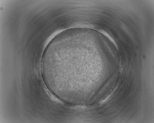 X0000084031094200703022116