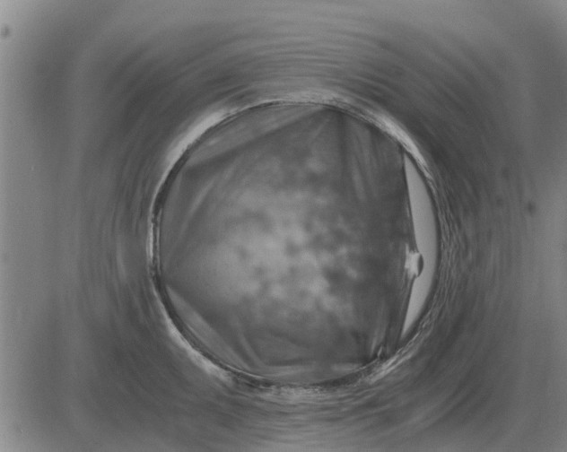 X0000084031095200703022116