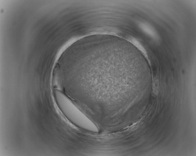 X0000084031096200703022116