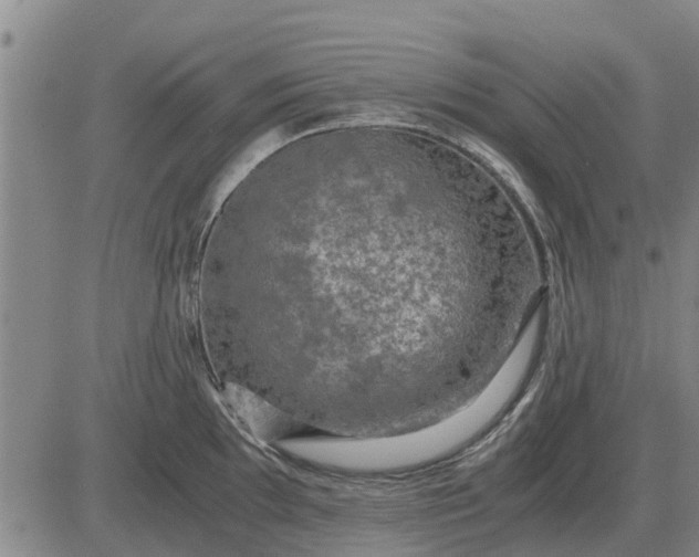 X0000084031097200703022116