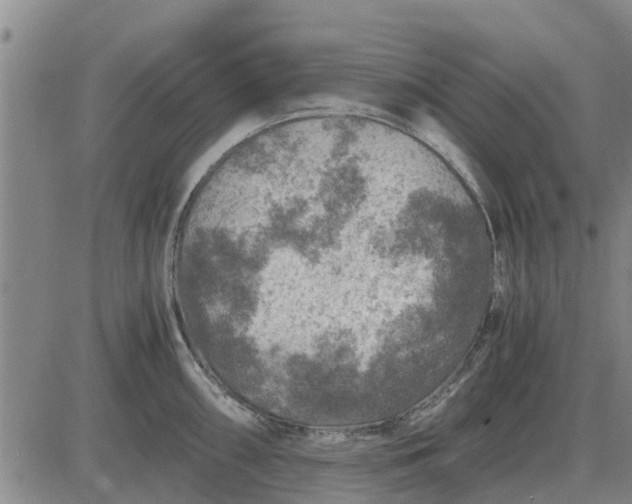 X0000084031098200703022116