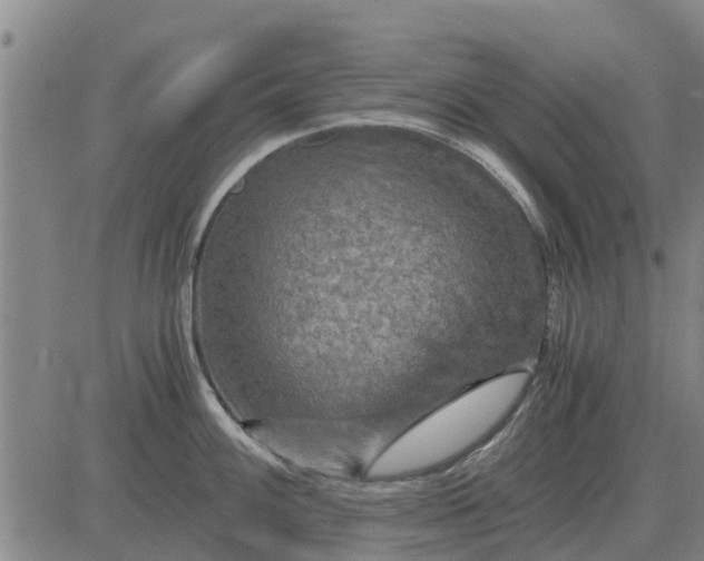 X0000084031100200703022116