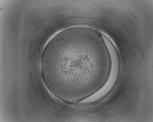 X0000084031101200703022116