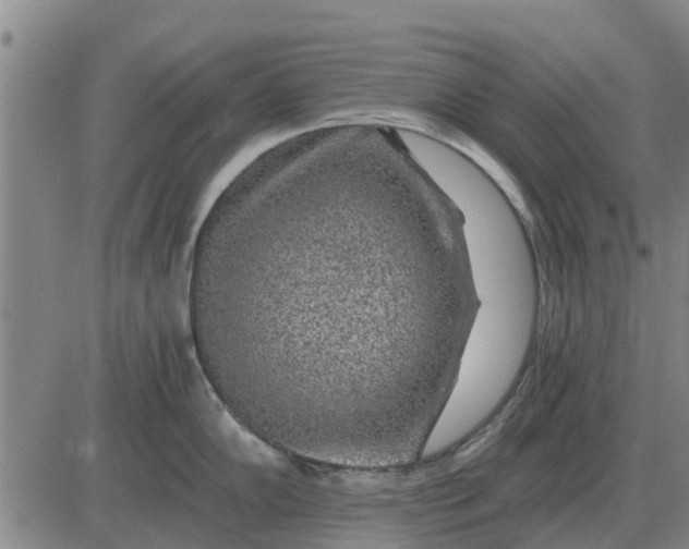 X0000084031102200703022116