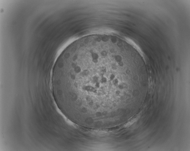 X0000084031103200703022116