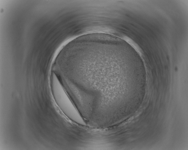 X0000084031104200703022116