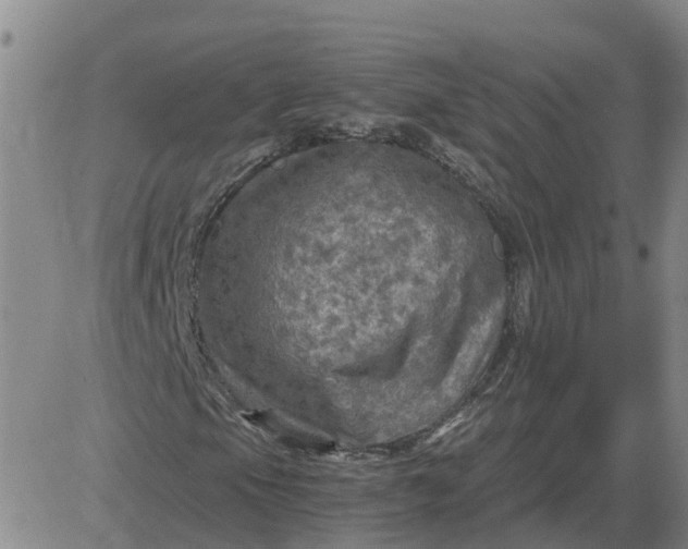 X0000084031105200703022115