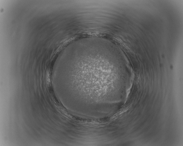 X0000084031106200703022115