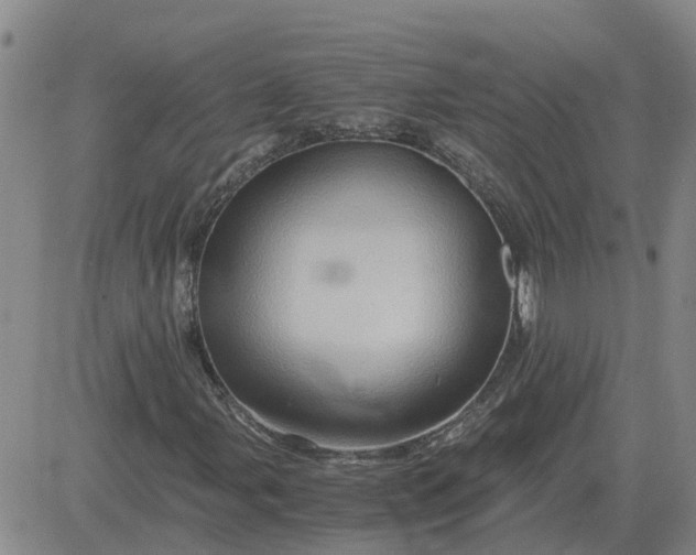 X0000084031107200703022115