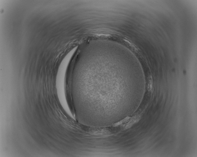 X0000084031108200703022115