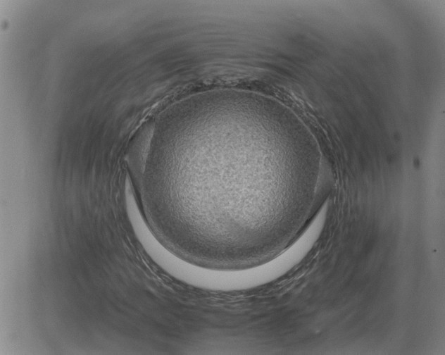 X0000084031109200703022115