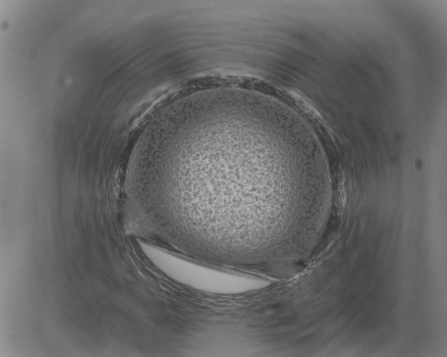 X0000084031110200703022115