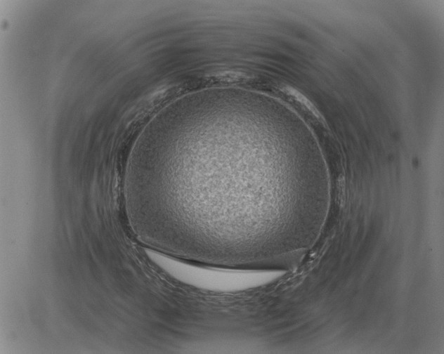 X0000084031111200703022115