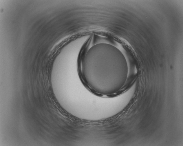 X0000084031112200703022115