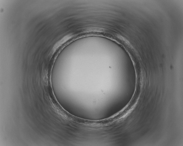 X0000084031113200703022115