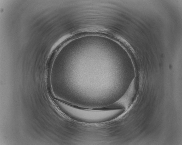 X0000084031114200703022115