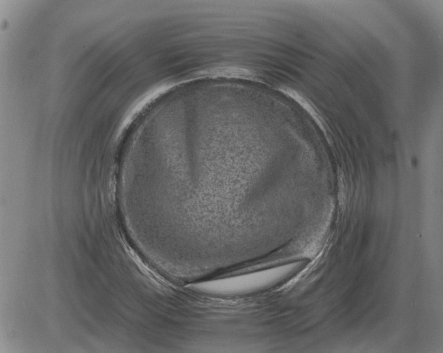 X0000084031115200703022115