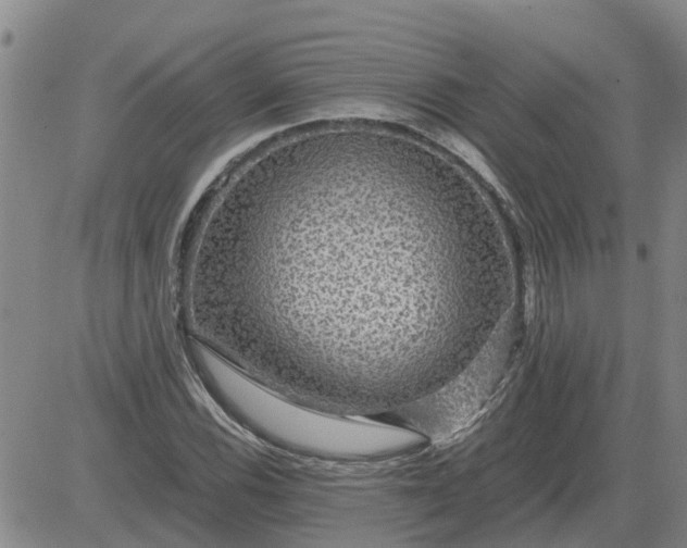 X0000084031116200703022115