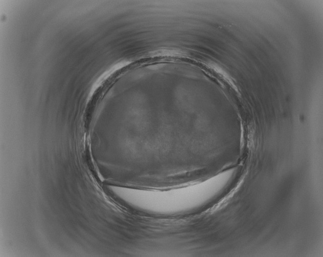 X0000084031117200703022115