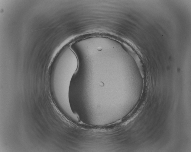 X0000084031118200703022115