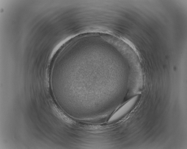 X0000084031120200703022115