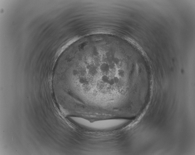 X0000084031121200703022115