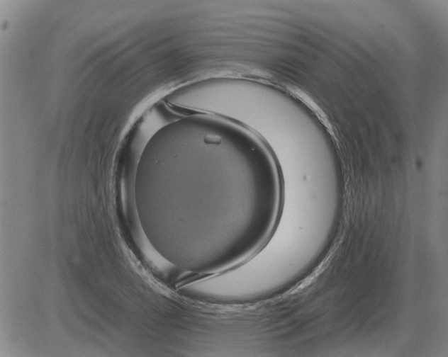 X0000084031122200703022115