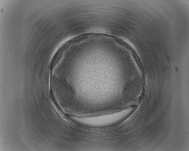 X0000084031123200703022115