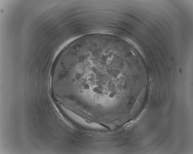 X0000084031125200703022115