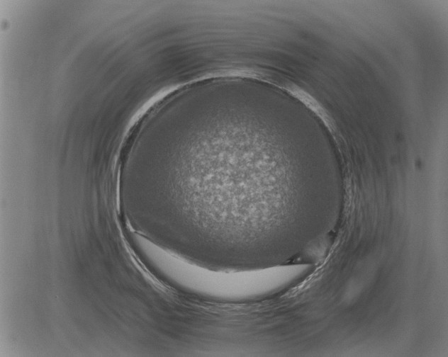 X0000084031127200703022116