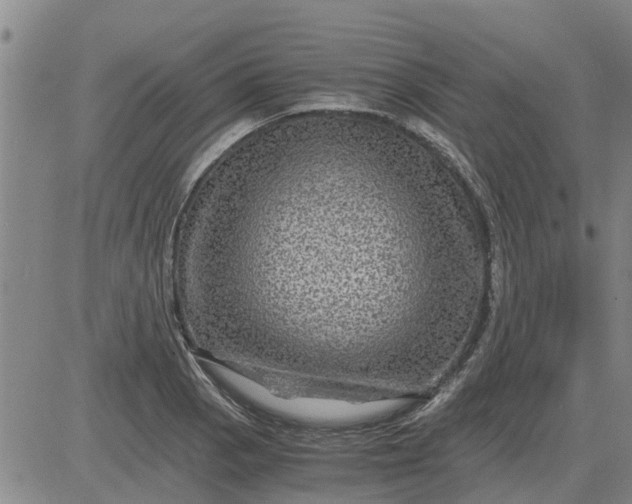 X0000084031129200703022116