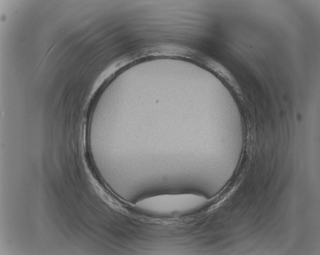 X0000084031130200703022116