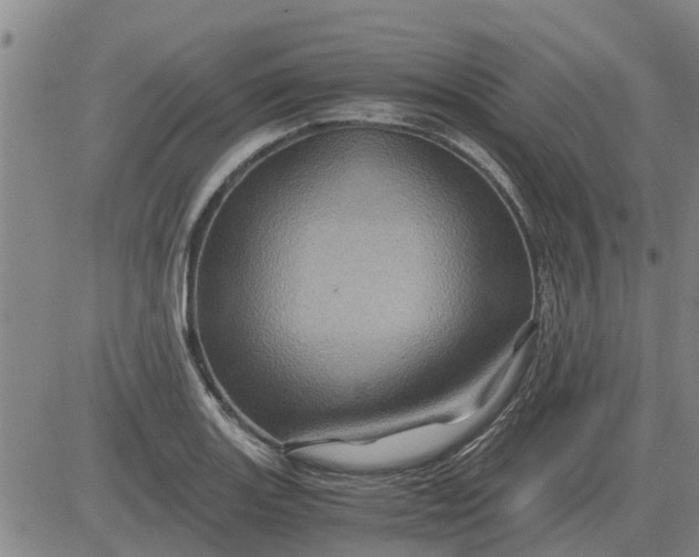 X0000084031131200703022116