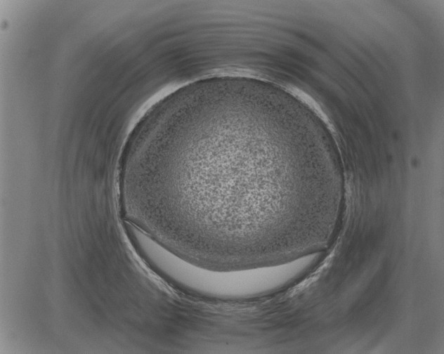 X0000084031133200703022116