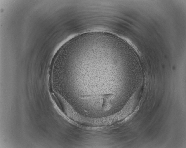 X0000084031134200703022116