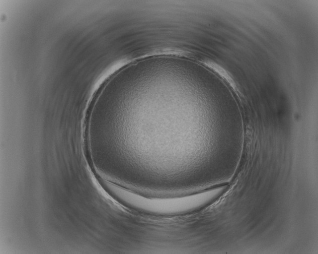 X0000084031135200703022116