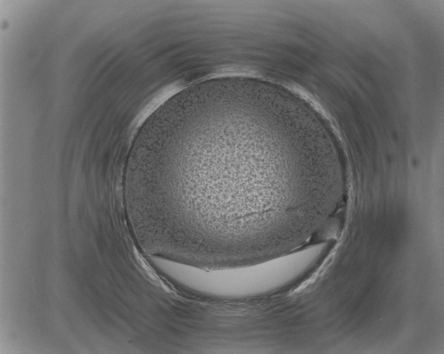 X0000084031137200703022116