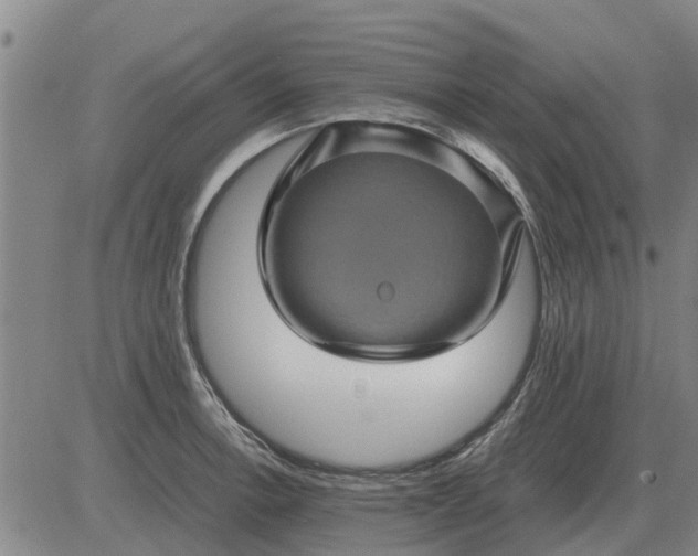 X0000084031138200703022116