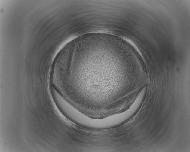 X0000084031139200703022116