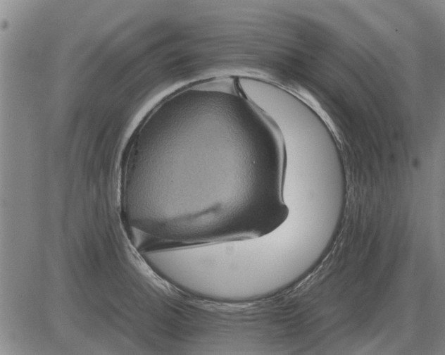 X0000084031140200703022116