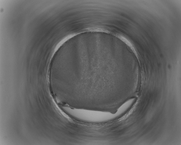 X0000084031141200703022116