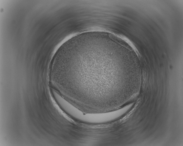 X0000084031142200703022116