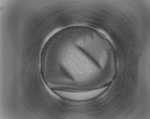 X0000084031143200703022116