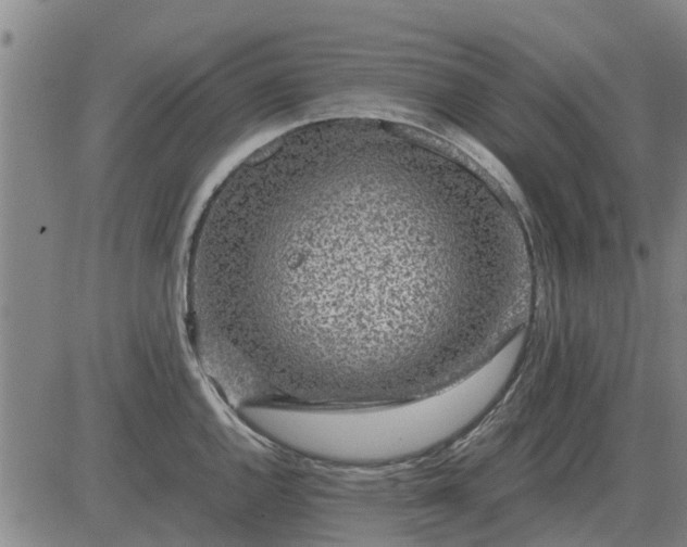 X0000084031144200703022116