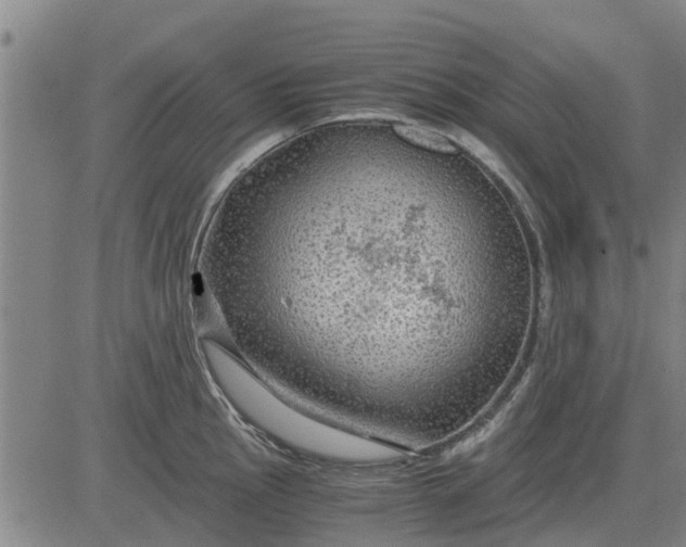 X0000084031145200703022116